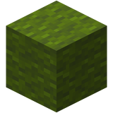 Зелёная шерсть.png